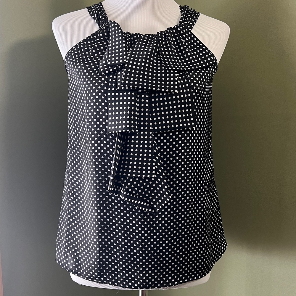 Covington Polka Dot Blouse